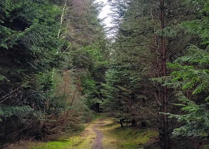 Casa vacanze Charming Summer House Near Town And *